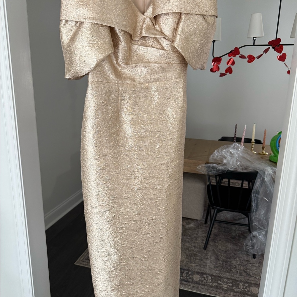 Teri Jon Shimmering Beige Gown - Picture 3 of 3
